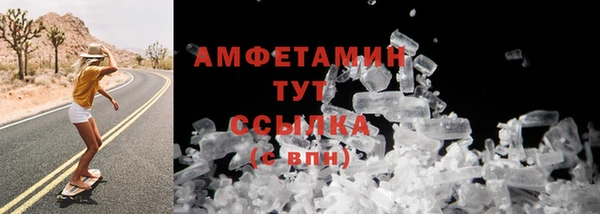 прущие грибы Баксан