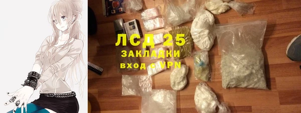 прущие грибы Баксан