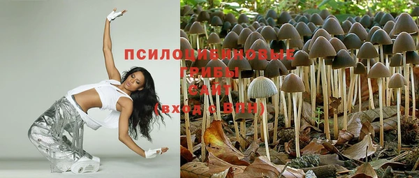 трава Балахна