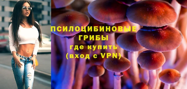 прущие грибы Баксан