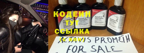 прущие грибы Баксан