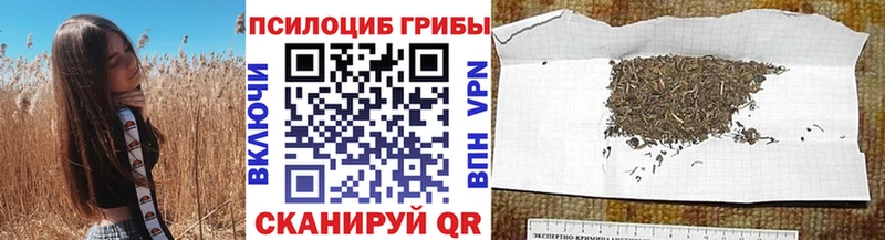 Галлюциногенные грибы мицелий  Тогучин 